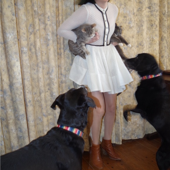 Meet your Posher, Sam - Picture 5 of 8